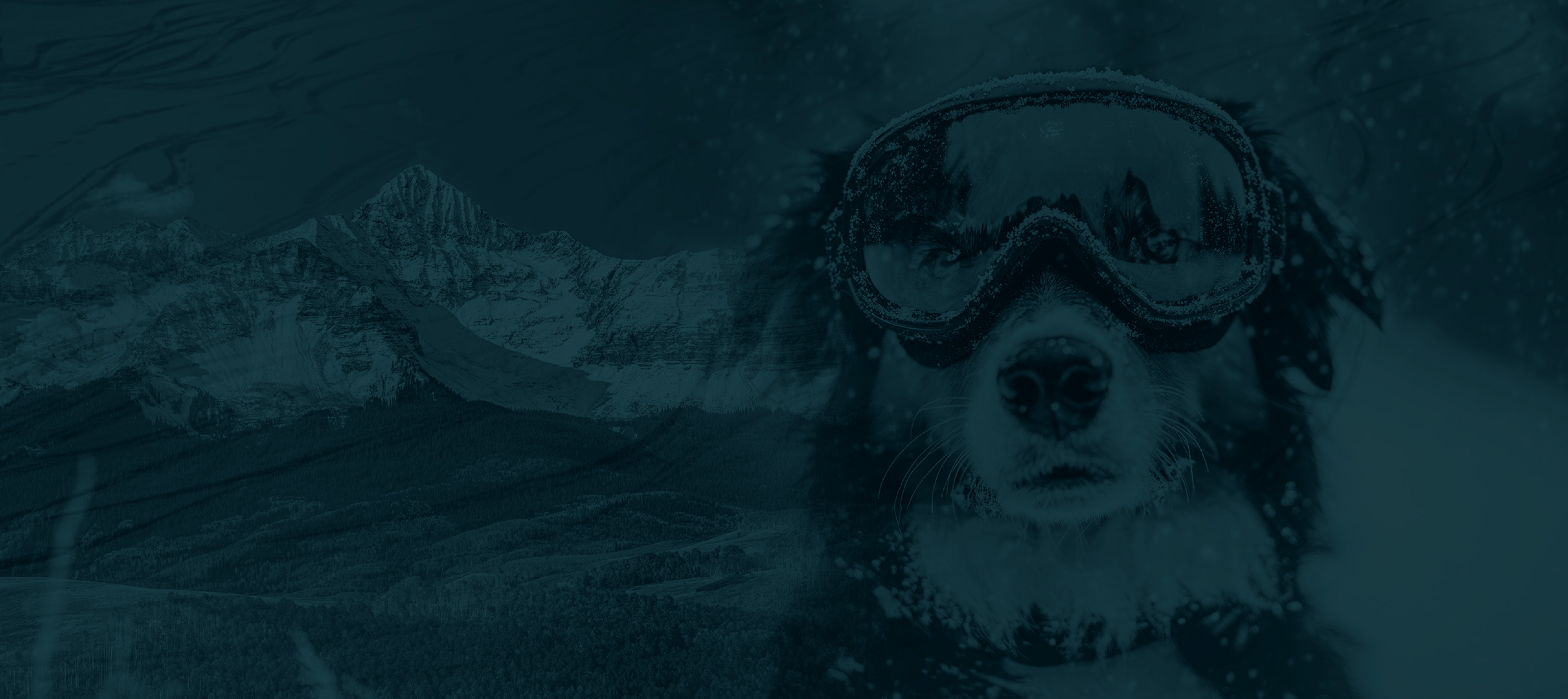 Dog wearing ski goggles with mountain in the background